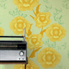 Poppy Flower, Wallpaper